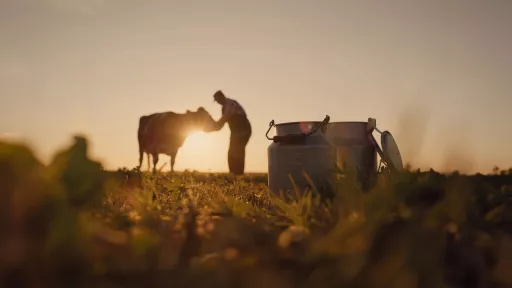 Communiqu&eacute; de Presse - Langue bleue