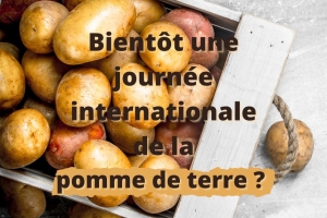 David Clarinval soutient la FAO en vue d’instaurer la Journée internationale de la pomme de terre