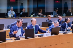 Raad van de Ministers van Europese Zaken: conclusies